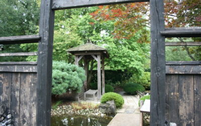 The Nourished Writer: Your Own Tea House Practice